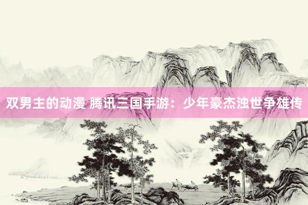 双男主的动漫 腾讯三国手游：少年豪杰浊世争雄传