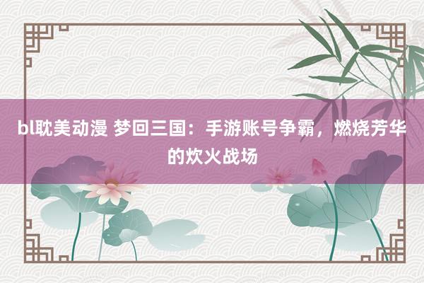bl耽美动漫 梦回三国：手游账号争霸，燃烧芳华的炊火战场