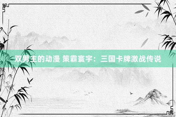 双男主的动漫 策霸寰宇：三国卡牌激战传说