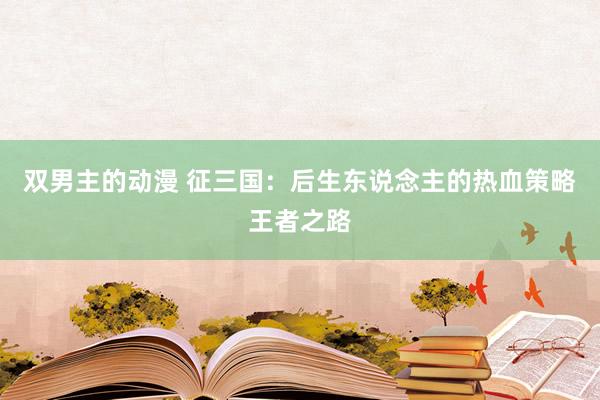 双男主的动漫 征三国：后生东说念主的热血策略王者之路