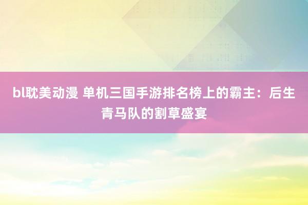bl耽美动漫 单机三国手游排名榜上的霸主：后生青马队的割草盛宴