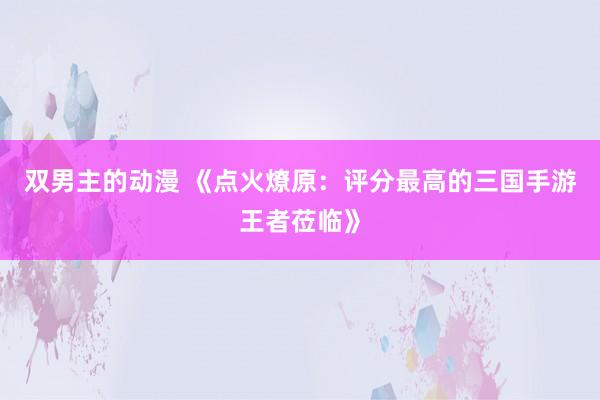 双男主的动漫 《点火燎原：评分最高的三国手游王者莅临》