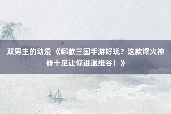 双男主的动漫 《哪款三国手游好玩？这款爆火神器十足让你进退维谷！》