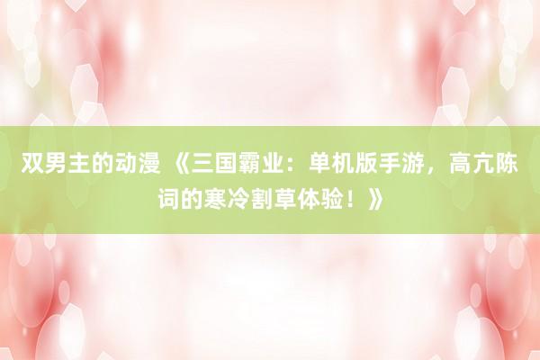 双男主的动漫 《三国霸业：单机版手游，高亢陈词的寒冷割草体验！》