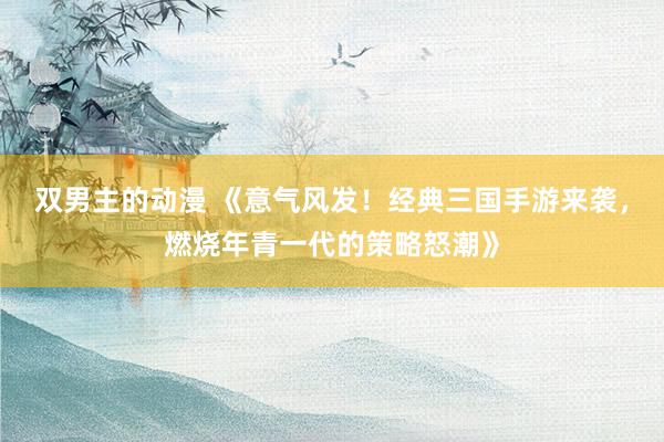 双男主的动漫 《意气风发！经典三国手游来袭，燃烧年青一代的策略怒潮》