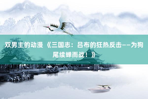 双男主的动漫 《三国志：吕布的狂热反击——为狗尾续蝉而战！》
