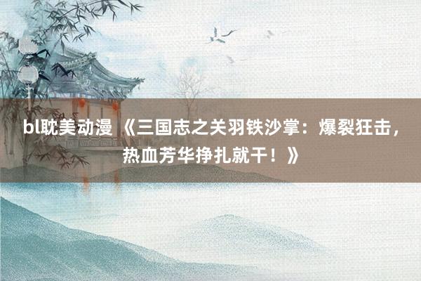 bl耽美动漫 《三国志之关羽铁沙掌：爆裂狂击，热血芳华挣扎就干！》