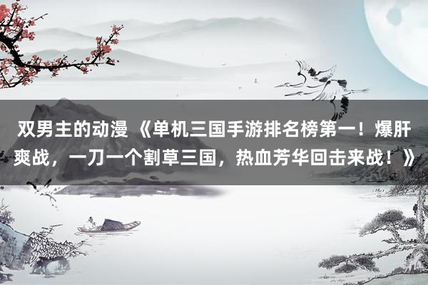 双男主的动漫 《单机三国手游排名榜第一！爆肝爽战，一刀一个割草三国，热血芳华回击来战！》