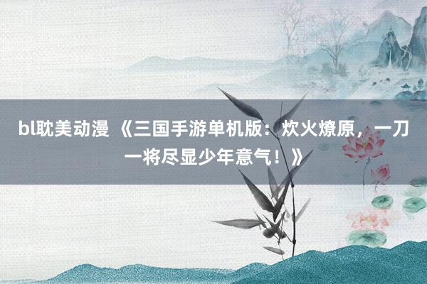 bl耽美动漫 《三国手游单机版：炊火燎原，一刀一将尽显少年意气！》