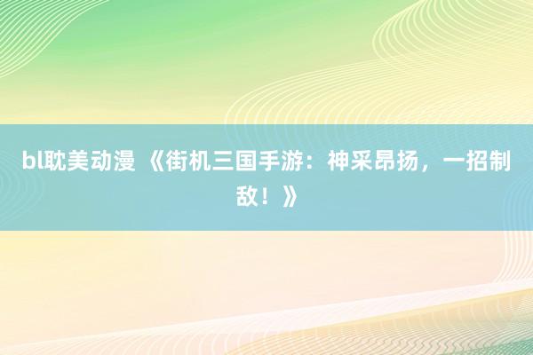 bl耽美动漫 《街机三国手游：神采昂扬，一招制敌！》